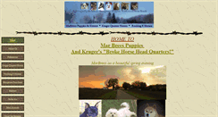 Desktop Screenshot of krugerquarterhorses.com