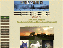 Tablet Screenshot of krugerquarterhorses.com